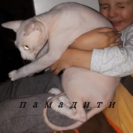 Sticker ThinkingYoba - 1