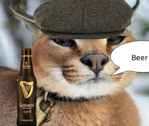 Дикая кошка кошка животное