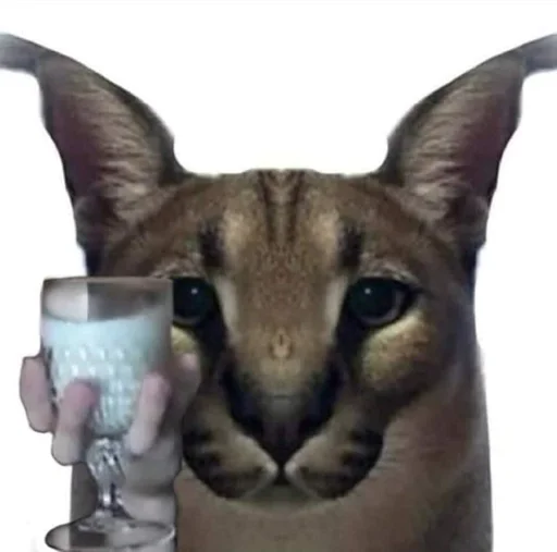 кошка животное млекопитающее