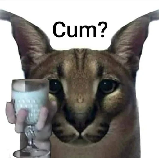 кошка животное млекопитающее