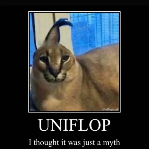 кошка животное Дикая кошка