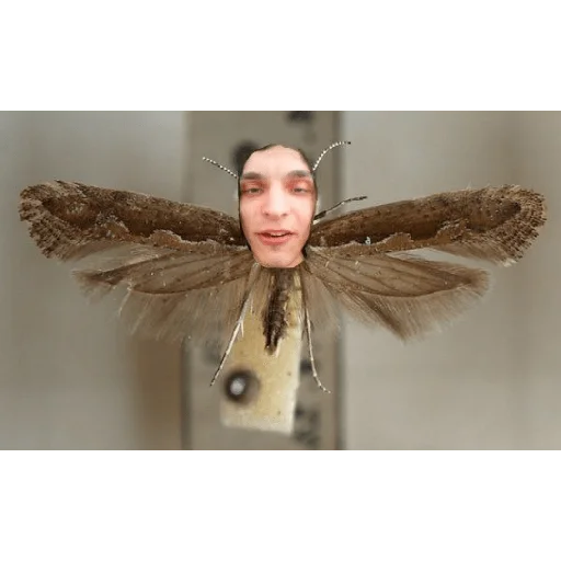 Стикер Тхірячі стікери - 5