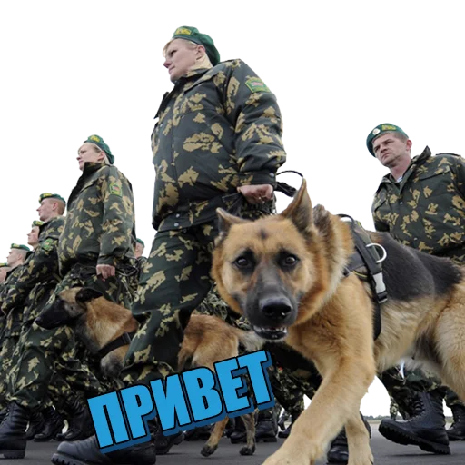 Стикер ThreeHeadsFlood - 1