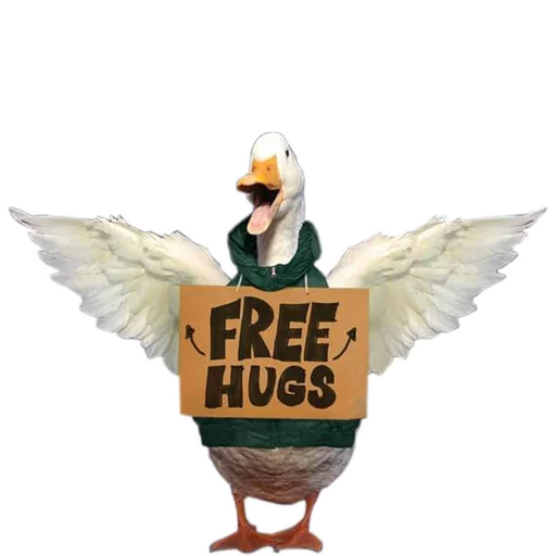 Sticker Three hundred ducks - 10