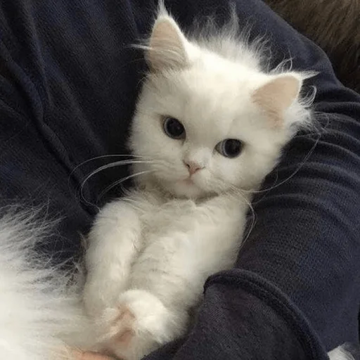 Стикер Мы - 2