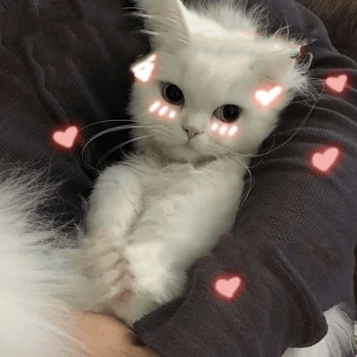 Стикер Мы - 1