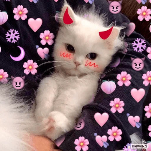 Стикер Мы - 0