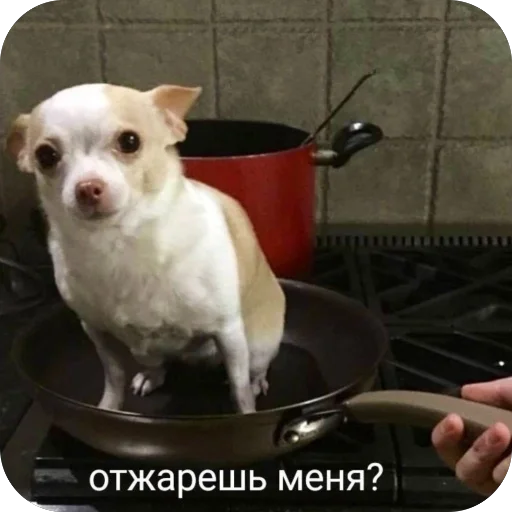 Sticker TidaStic - 1