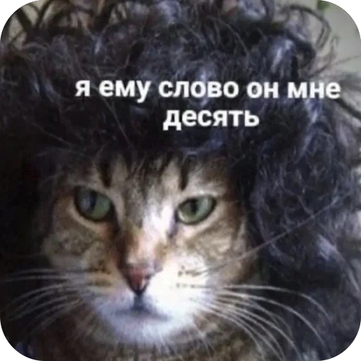 Sticker TidaStic - 1