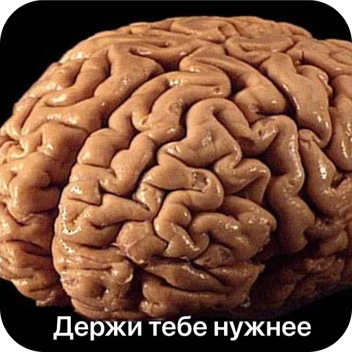 Sticker TidaStic - 1