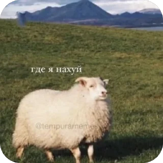 Стикер TidaStic - 2