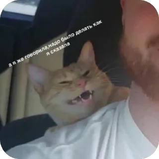 Стикер TidaStic - 5