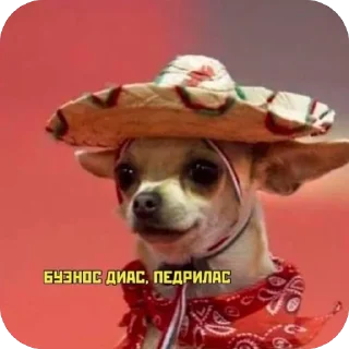 Стикер TidaStic - 1