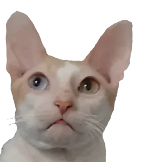 Sticker Тигр - 7