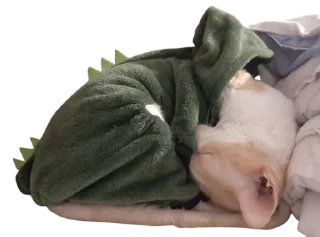 Sticker Тигр - 5