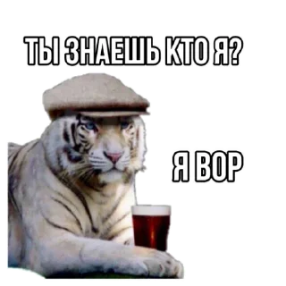 Стикер Tigerbalm @stickersb2b - 11