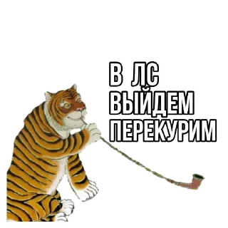 Стикер Tigerbalm @stickersb2b - 9