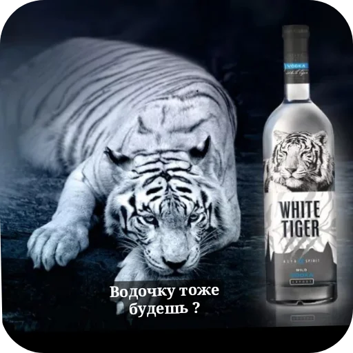 Sticker TigraStikery - 1