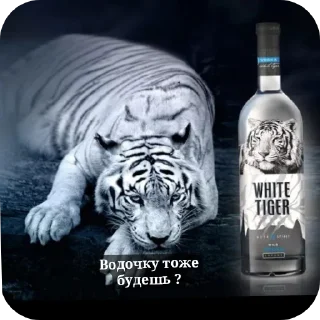 Sticker Тигра стикеры - 3