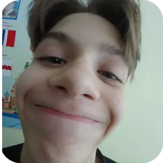 Стикер Тигры - 11