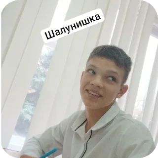 Стикер Тигры - 7