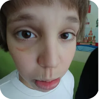 Стикер Тигры - 9