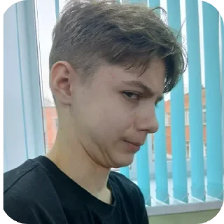 Стикер Тигры - 8