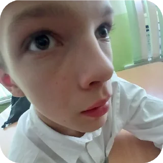 Стикер Тигры - 2