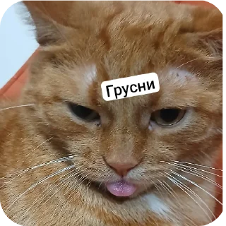 Стикер Тигры - 4