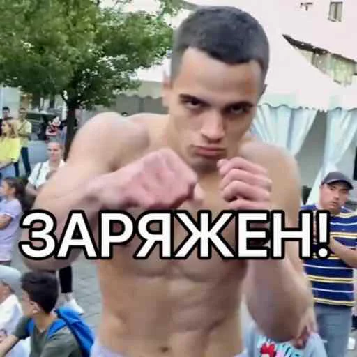 Стикер ТихоМИРОВ pac - 10