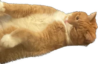 Sticker Tihon and Ke$h @TgEmodziBot - 7