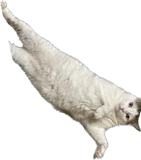 Sticker Tihon and Ke$h @TgEmodziBot - 3