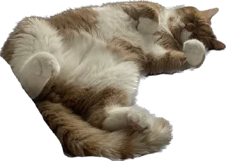 Sticker Tihon and Ke$h @TgEmodziBot - 4