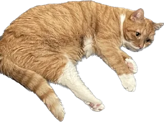 Sticker Tihon and Ke$h @TgEmodziBot - 2