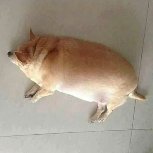 Стикер TikhonPack - 9