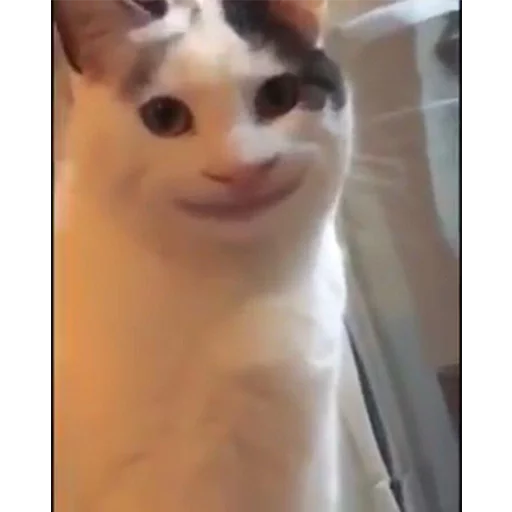 Стикер TikhonPack - 1