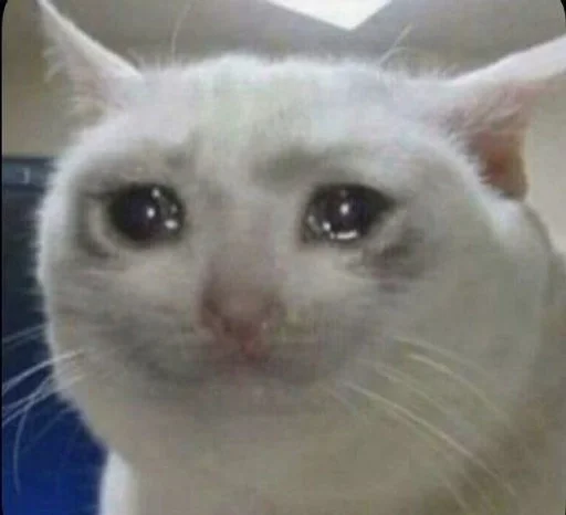 Стикер TillsDoeksVodka_by_fStikBot - 1