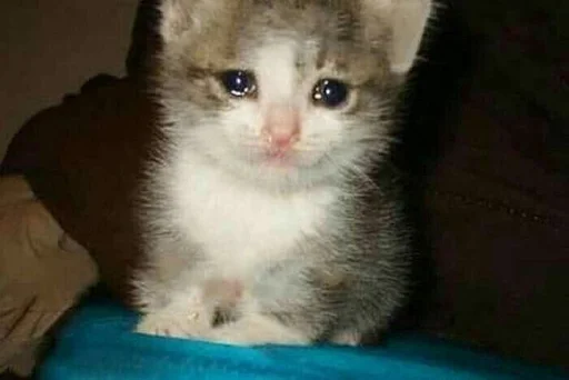 Стикер TillsDoeksVodka_by_fStikBot - 1