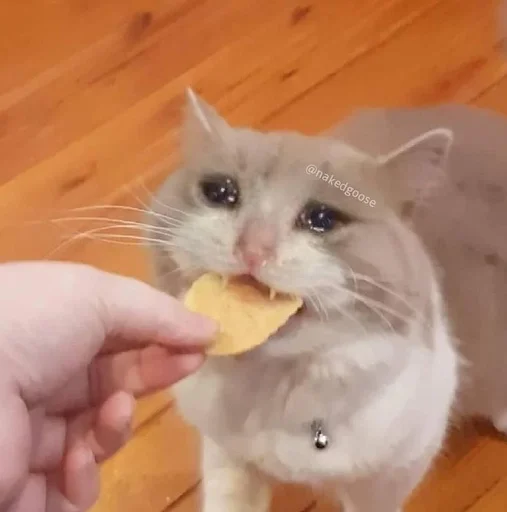 Стикер TillsDoeksVodka_by_fStikBot - 1