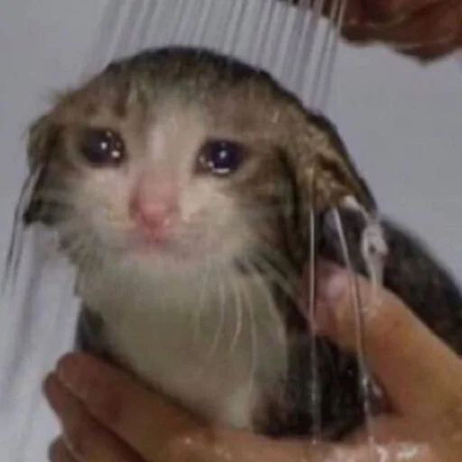 Стикер TillsDoeksVodka_by_fStikBot - 1