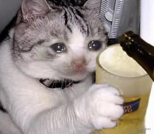 Стикер TillsDoeksVodka_by_fStikBot - 1