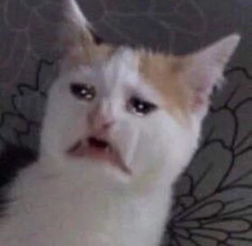 Sticker амина, хуй соси :: @fStikBot - 0