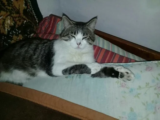 Sticker Тимошка by @fStikBot - 10