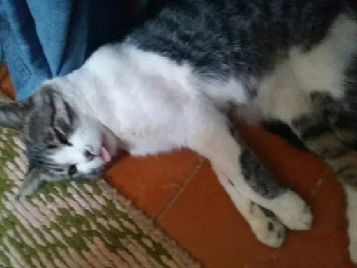 Sticker Тимошка by @fStikBot - 9