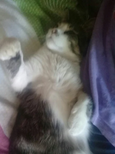 Sticker Тимошка by @fStikBot - 1