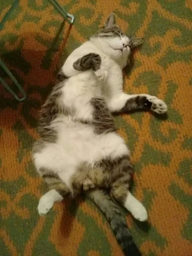 Sticker Тимошка by @fStikBot - 0