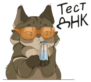 Стикер Тимоша @kiskina_risuet - 3