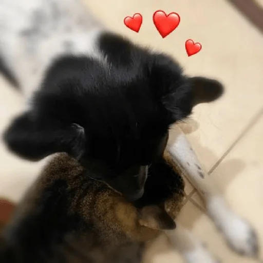 Стикер Timidi_Kopchik - 8