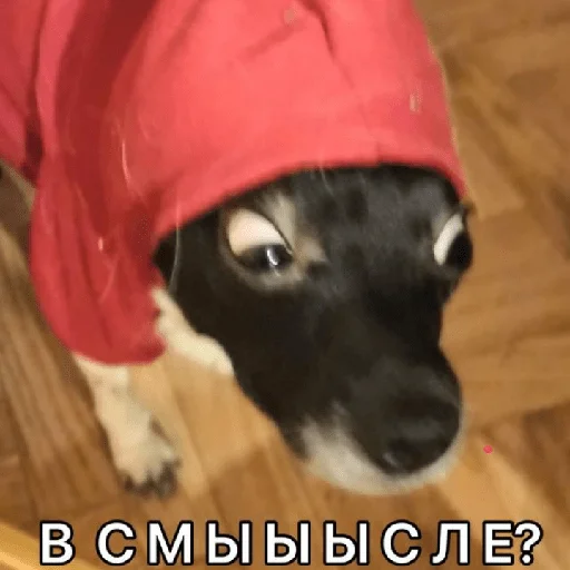 Стикер Timidi_Kopchik - 2