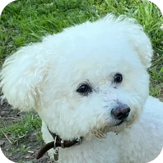 Стикер Тимка - 1